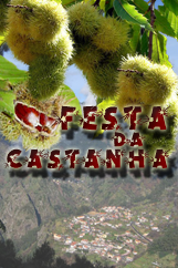 Festa da Castanha - Curral das Freiras